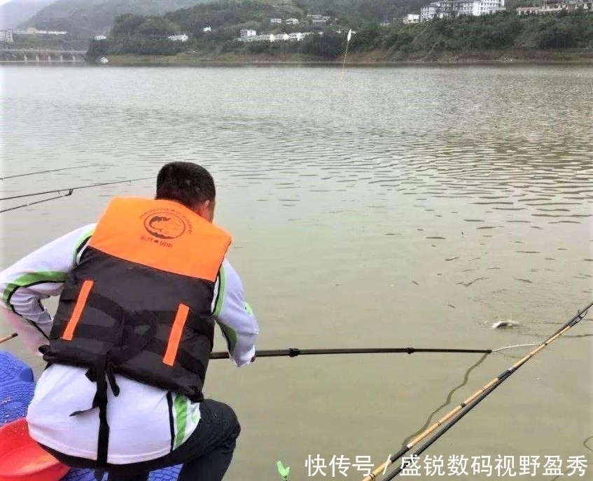 垂钓|钓鱼精准抓口其实很容易，出现这些漂相，扬竿即中鱼