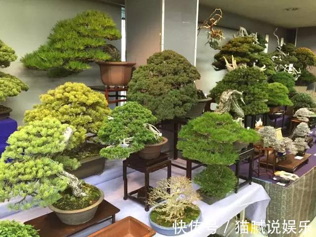 这9种花园,随便1个都美上天了,有一种这辈子就满足了!