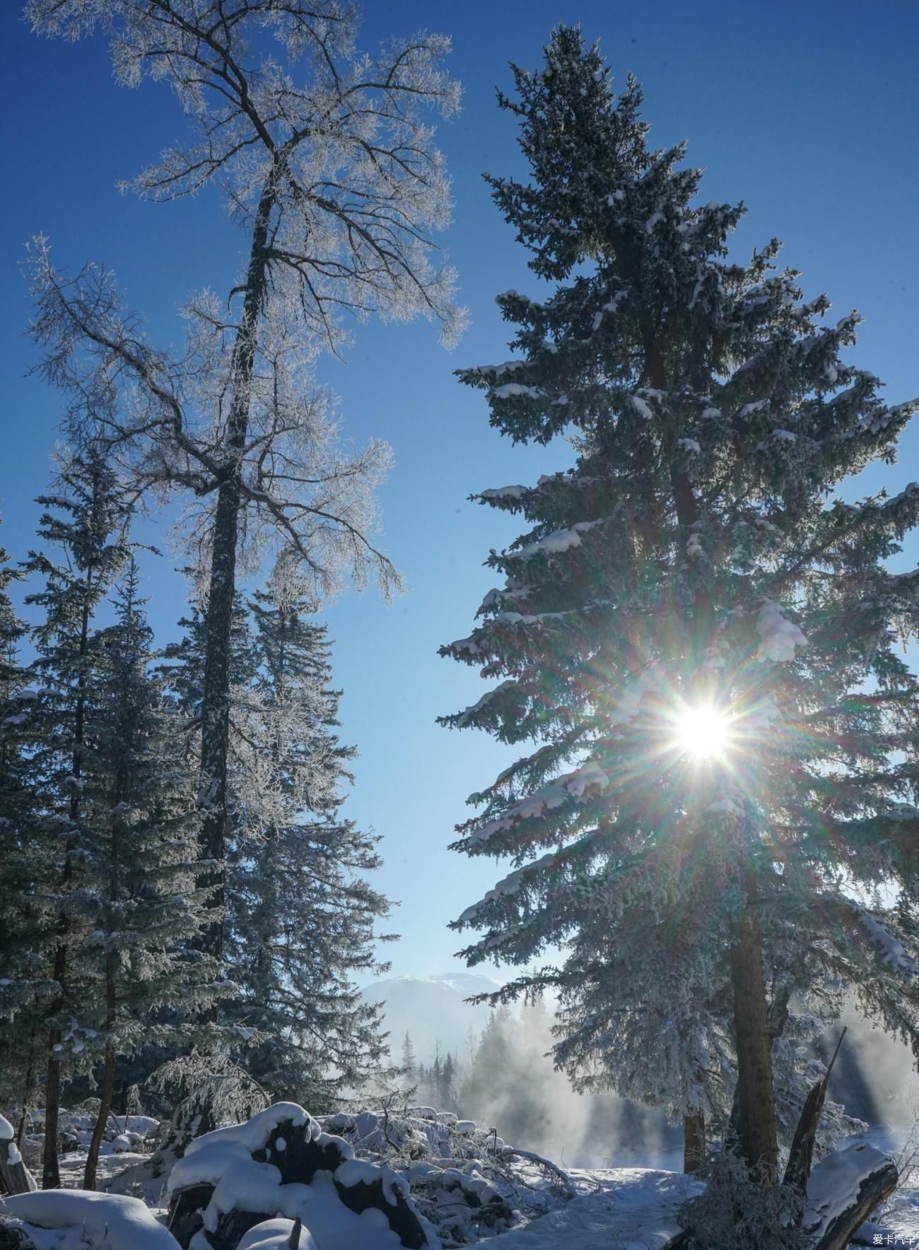 白雪皑皑的冰湖，晨雾弥漫的神仙湾