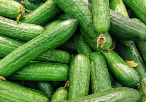 农民朋友|如何辨认打了激素的黄瓜农民朋友教你一招,一眼就能区分