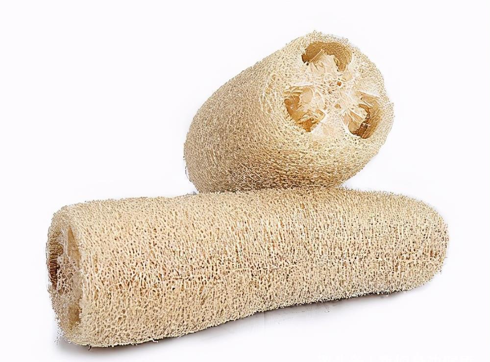 丝瓜|一味丝瓜络,养生大功效!它的3个奇妙作用,老中医都夸它是个宝