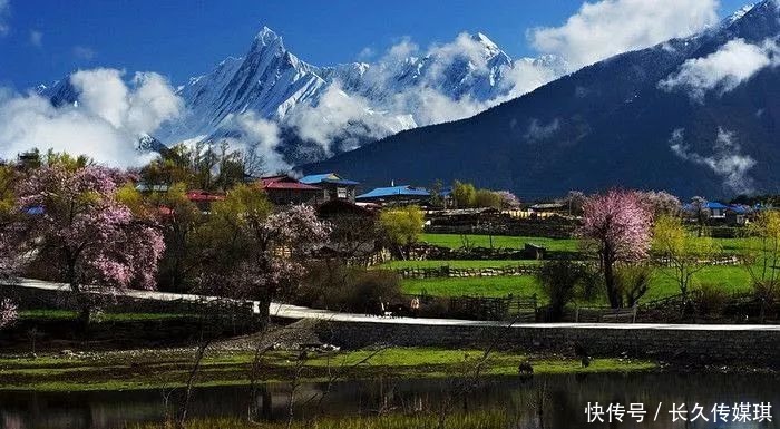 为什么看林芝桃花，一定要走川藏线？