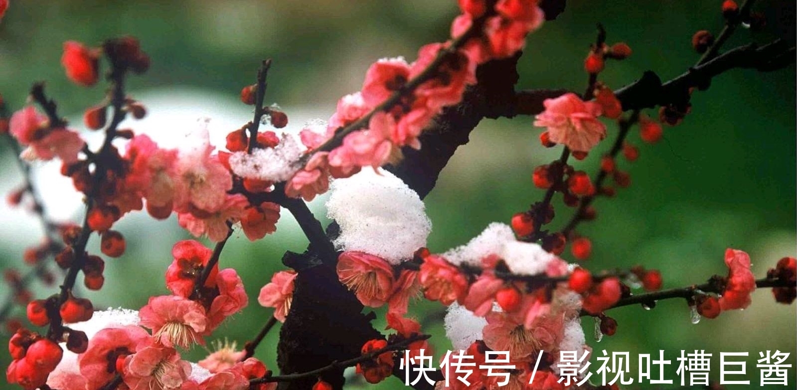 除夕夜&陆游在除夕夜举杯未饮先作诗,窗外大雪纷飞,屋内灯火暖暖