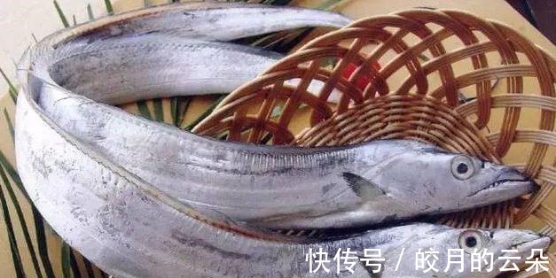 段儿|买带鱼,牢记“4买4不买”,条条肉嫩饱满,鱼腥味儿小,好吃新鲜!