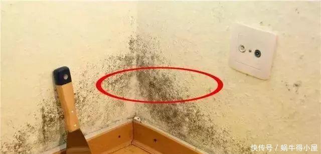 错误|卫生间装修，遭遇6个错误，第3个最坑，越住越憋屈