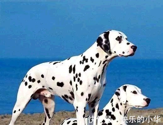 开元棋牌- 开元棋牌官网 - 开元棋牌APP下载历史上的今天11月01日_11月01日历史上发生的事件_天气网