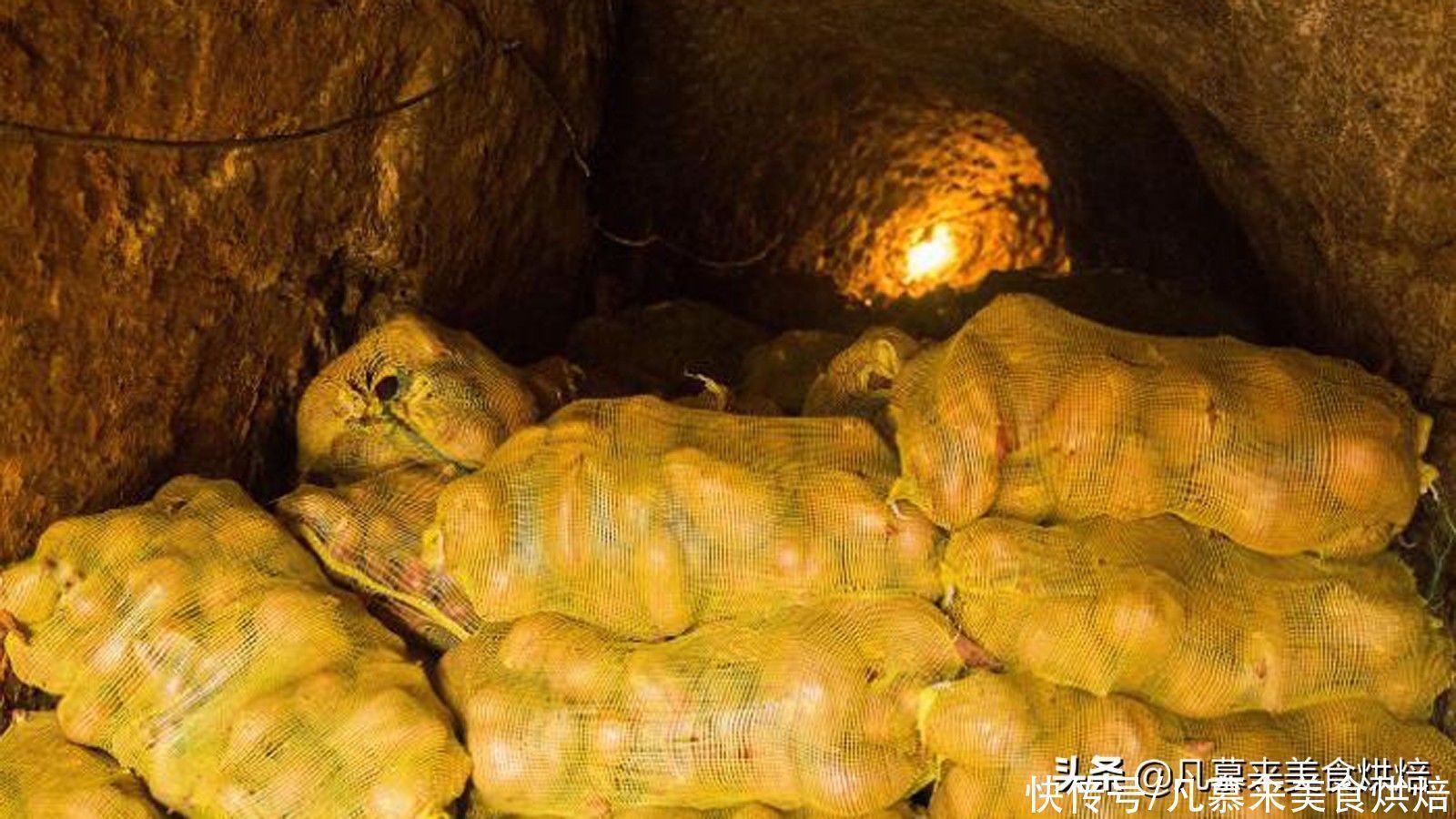 发芽|土豆为什么不能放冰箱？赶紧告诉家人吧！不止土豆这10种也不能