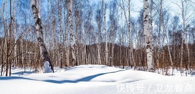 冬季钓鱼，这4种晴天没鱼吃钩，不要去浪费时间！