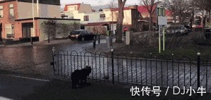 |搞笑GIF趣图拔河促进团结,唯一不好的就是费鞋!