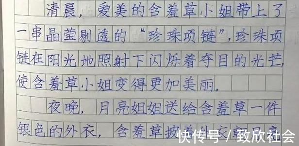 作文！家长晒二年级学霸作文，字迹严谨规范，端庄大气，堪比“教科书”