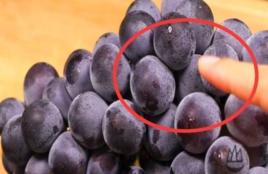 葡萄果粒|葡萄用盐和面粉洗,等于吃虫卵,教你一招,干净卫生脏东西都跑光