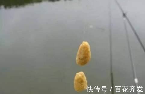 钓鱼|不能钓鱼的8个原因都很吸引人总是有一个适合你的