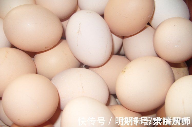 土鸡蛋|关于鸡蛋的5个“误解”,原来一直吃错了,为了健康,建议看一看