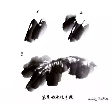 教程@图文教程——芭蕉画法