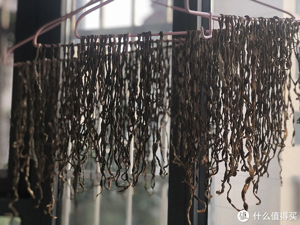 炖肉|马上立秋了，这5种廉价蔬菜多买点，晒成干菜冬天吃，炖肉特别香