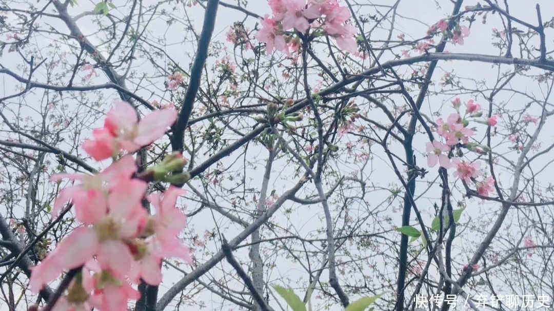 福报|致自己,一直做个有孝心的人,让福报越来越好