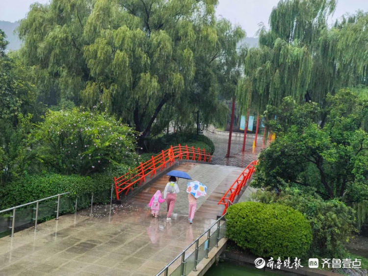 小雨淅沥不停，济南泉城公园美如丹青！雨中漫步悠闲舒适|情报站| 小雨