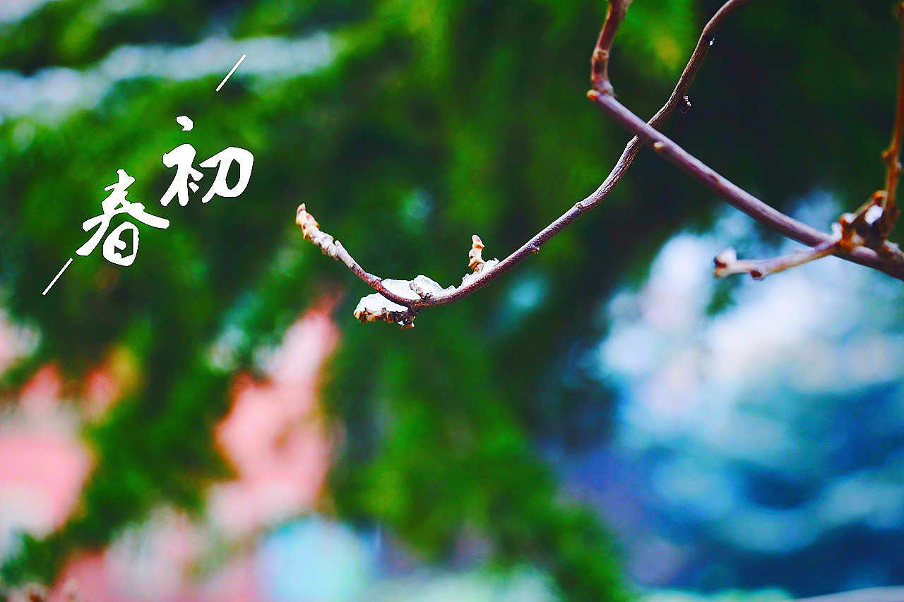 烟火@雨打梨花深闭门,孤负青春,虚负青春