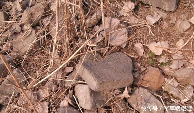 相距|历代帝王封禅泰山,祭地仪式其实在相距数十里高约百米的小山上