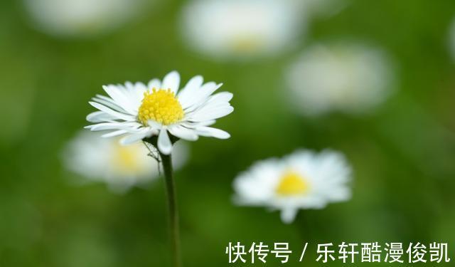 入命|未来18天，的运势节节攀升，吉星入命，桃花上佳