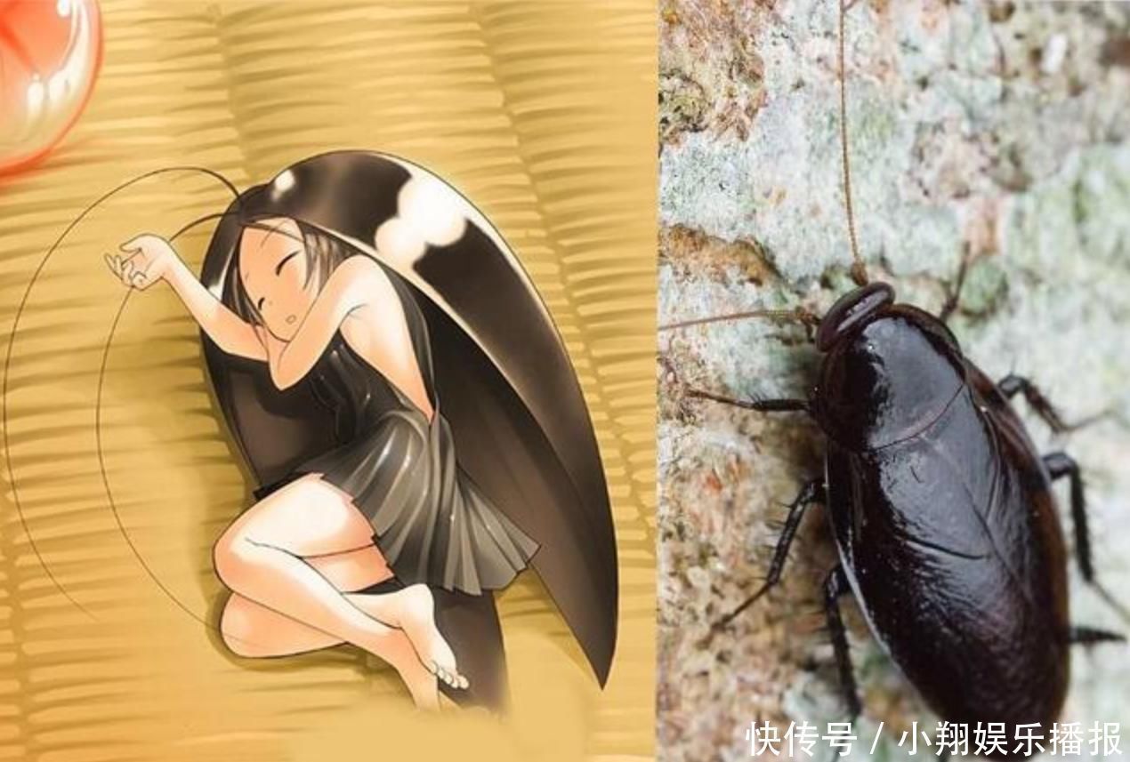 二次元|当三次元美女遇上二次元,差距到底在哪纸片人果然厉害,完胜