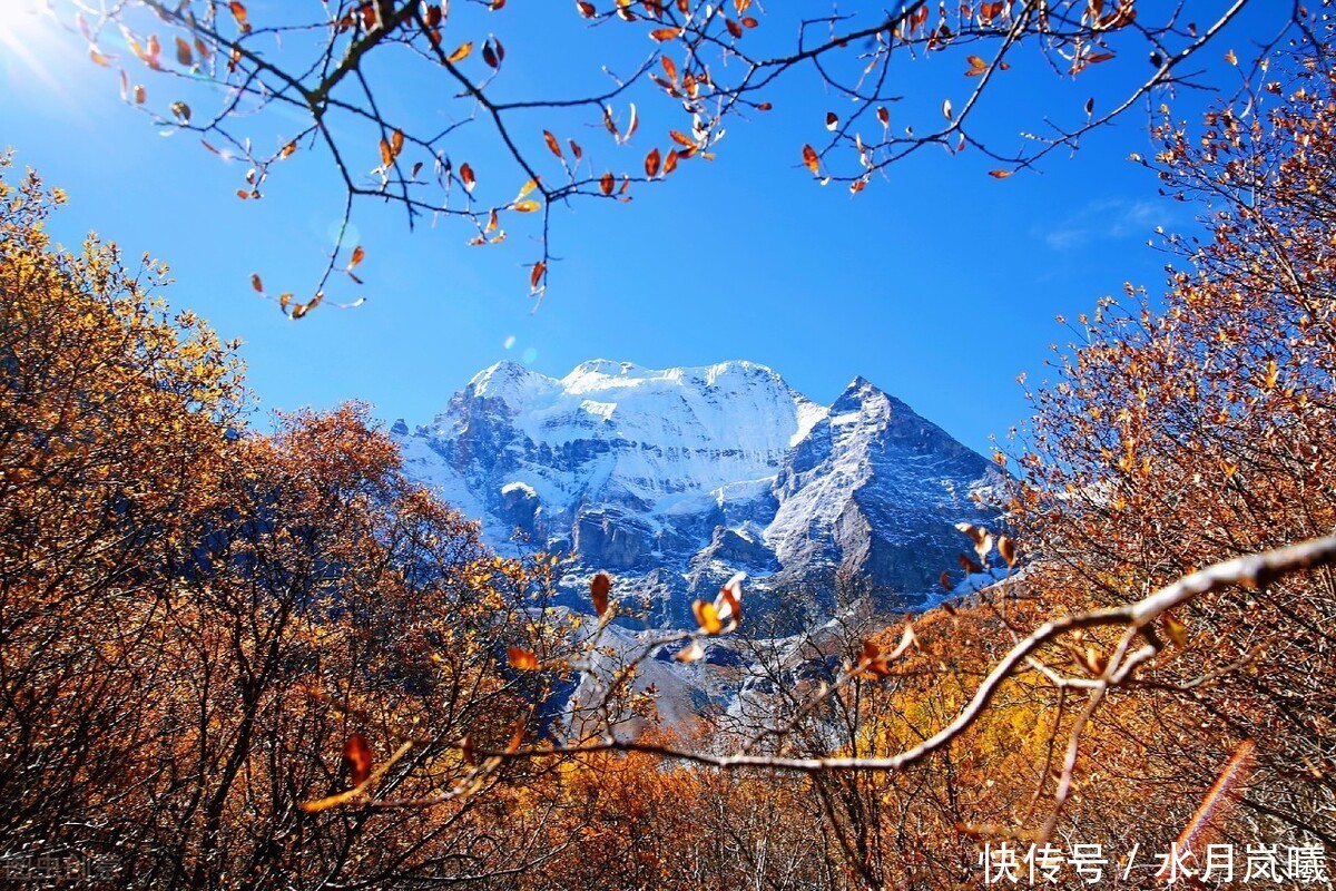 聆听|散文:聆听秋韵,听风吹过指尖流年,听季节的韵脚漫过岁月