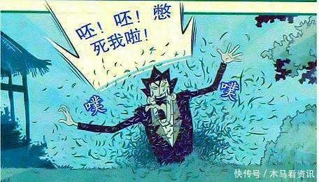 猫小乐老金“梦魇时刻”惊魂30秒！小衰挖个坑种下，秋天来收！