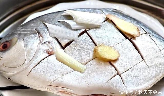 媳妇做清蒸鲳鱼,不放食盐和料酒,原汁原味,鱼肉鲜嫩不腥也不柴