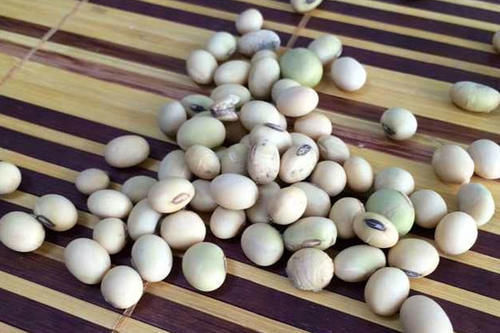 维生素e|黄体酮不足的女人,吃什么食物好?列出清单,40岁以后,请照着吃