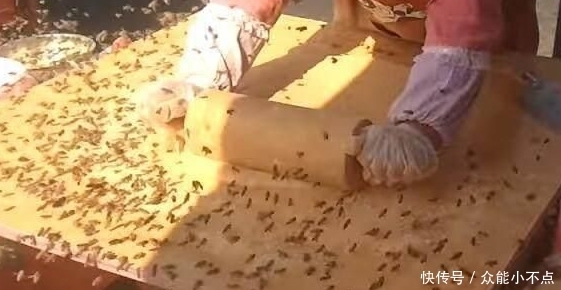 蜜蜂|这种小吃蜜蜂飞舞,大家却排队购买,看着挺恶心啊