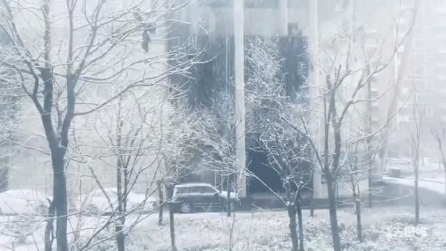 火锅|一下雪，上海就美成了魔都！