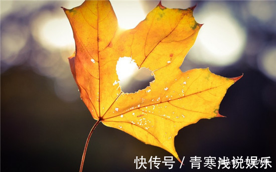 家产|独生女父母悲哀:攒下三套房,给女儿换大房后,被女婿父母吃绝户