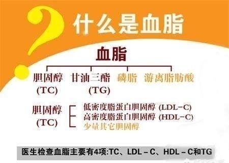 胡吃海|49岁老齐，血脂高到16，医生半年治好；2年后血脂17！什么原因