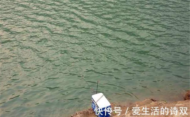 空军|夏季钓鲤鱼，这三个技巧尤其重要，影响了“空军”还是“爆护”