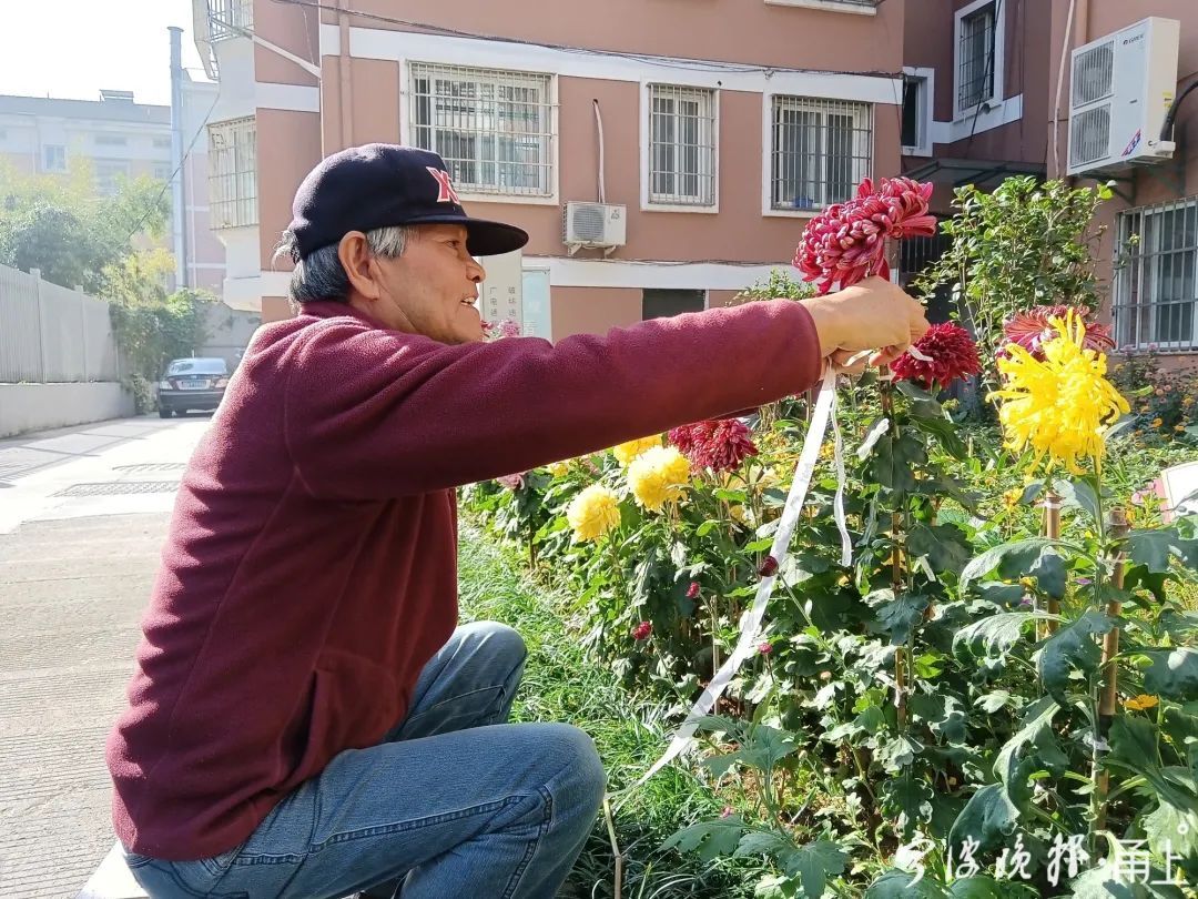宁波这个小区要火！有人耗时一年，把绿化地变成了…太惊艳！