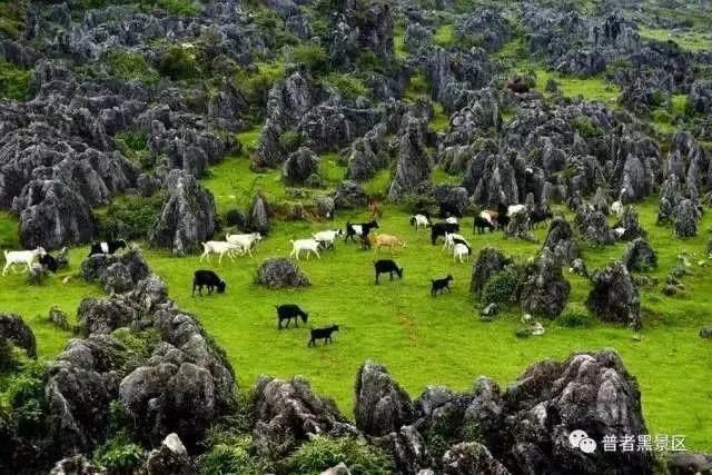 景区|公示！普者黑旅游景区拟确定为国家5A级旅游景区