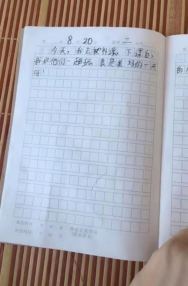 孩子|儿子“赶工期”写出来的日记，让妈妈无语，网友：有我当年的风范