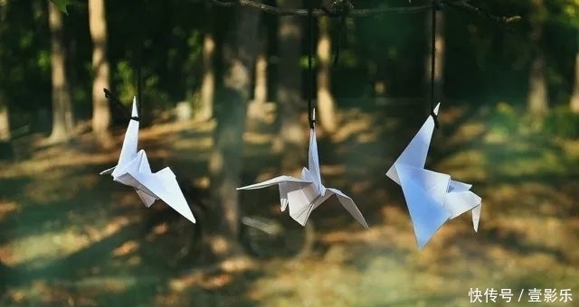 推荐|推荐|阅读这些公众号,成为你想成为的人