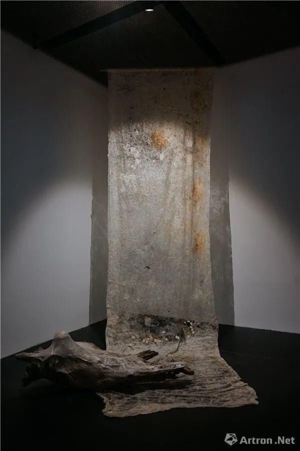  生命|张尕：生命艺术是一种提示或警示