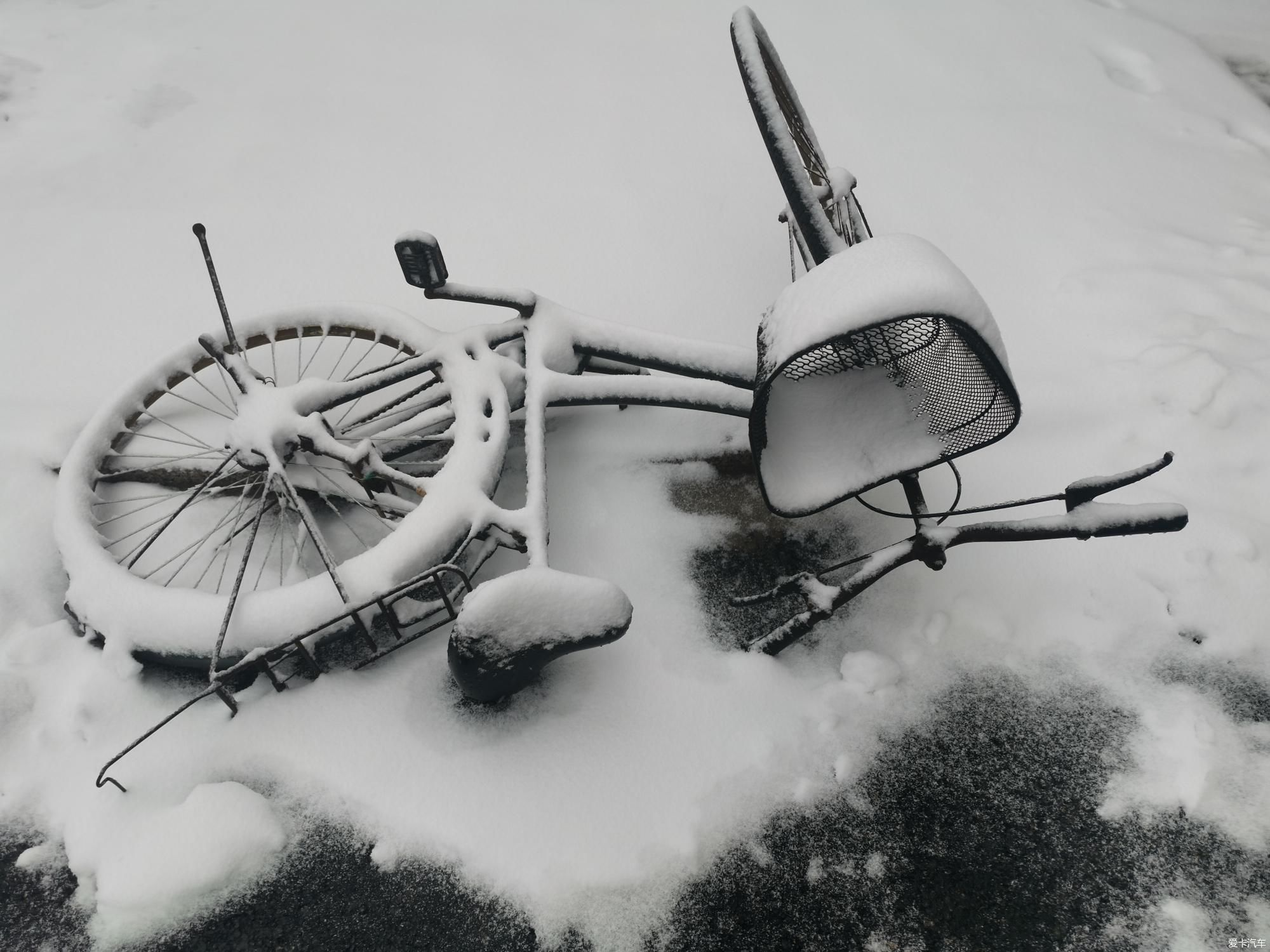 老年|【爱卡踏青季】踏雪寻梅