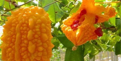 维生素c|老年人骨质疏松很常见,可该如何预防?常吃3种食物轻松达到