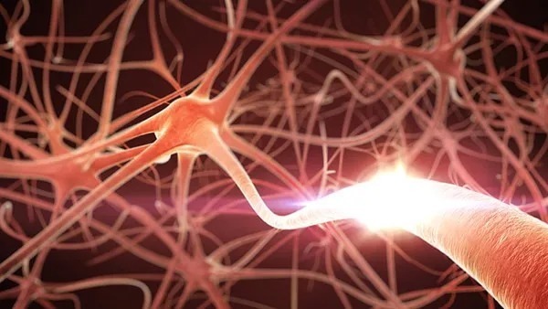 疾病|植物神经紊乱是什么疾病？