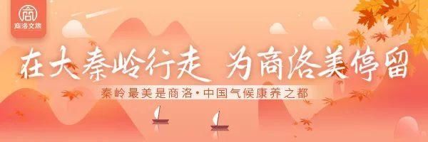  往上|贾平凹笔下的凤冠山，“山城之父”名不虚传