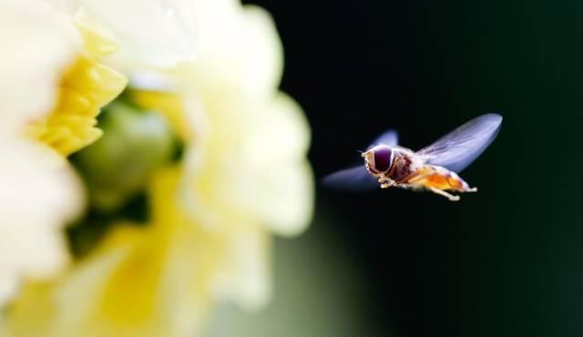 美丽|一千年前的一首古诗,虽然流传不广,却狠狠讽刺那些不劳而获的人