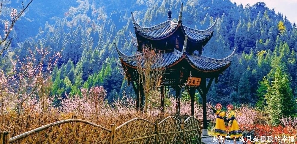 中国宣汉：春风十里，三月花海艳巴山