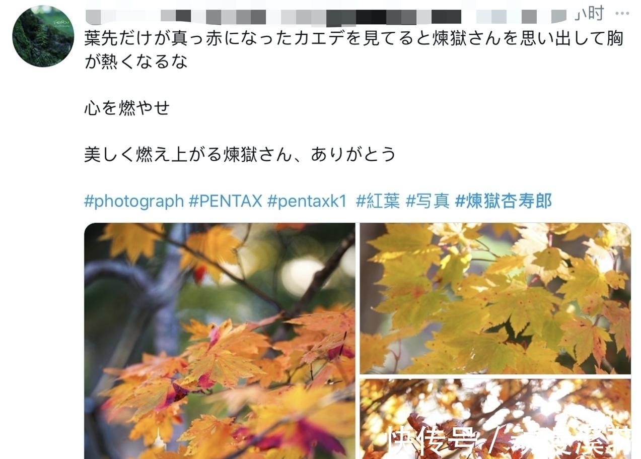 祢豆子|日本全民都在cos鬼灭之刃!木村拓哉也加入?这个炎柱太像了