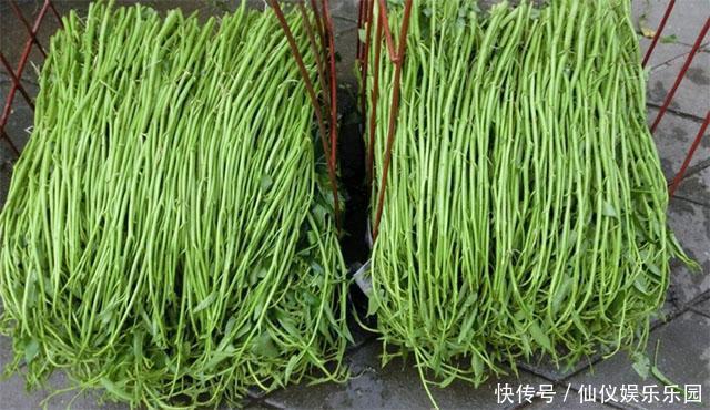 常吃|月经前5天，是女人排毒黄金期，常吃4样菜，子宫更干净