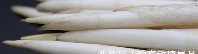 淤泥中一种野菜,长得像藕带,离水后很快就老!