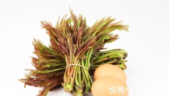 炒鸡蛋|树上一种嫩芽,用来炒鸡蛋是一绝,营养丰富价值高,你可吃过?