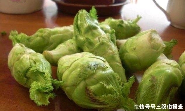 以下几种野菜，农村常见，常吃能“延年益寿”，城里人抢着吃